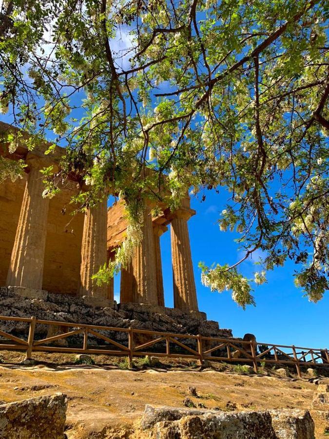 Casa Collis Διαμέρισμα San Leone Εξωτερικό φωτογραφία