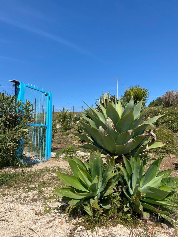 Casa Collis Διαμέρισμα San Leone Εξωτερικό φωτογραφία