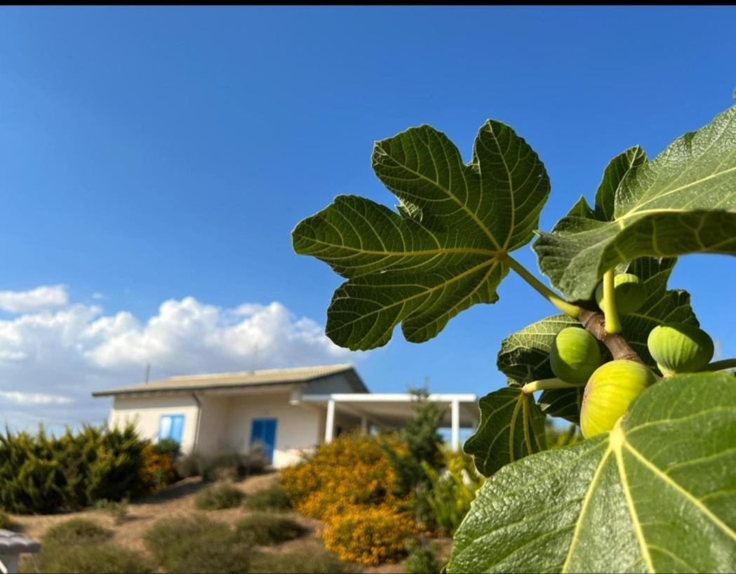 Casa Collis Διαμέρισμα San Leone Εξωτερικό φωτογραφία