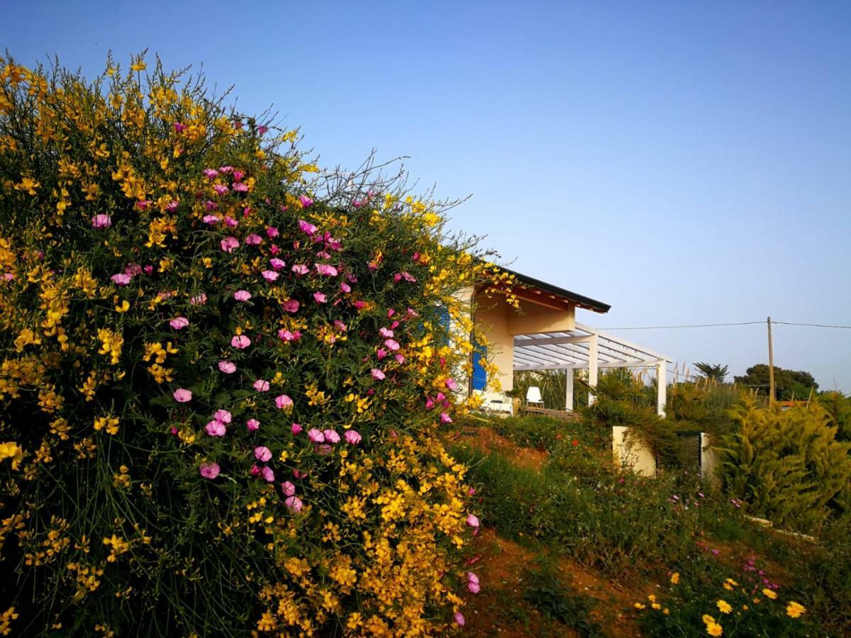 Casa Collis Διαμέρισμα San Leone Εξωτερικό φωτογραφία